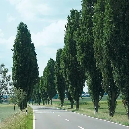 Ederwellen